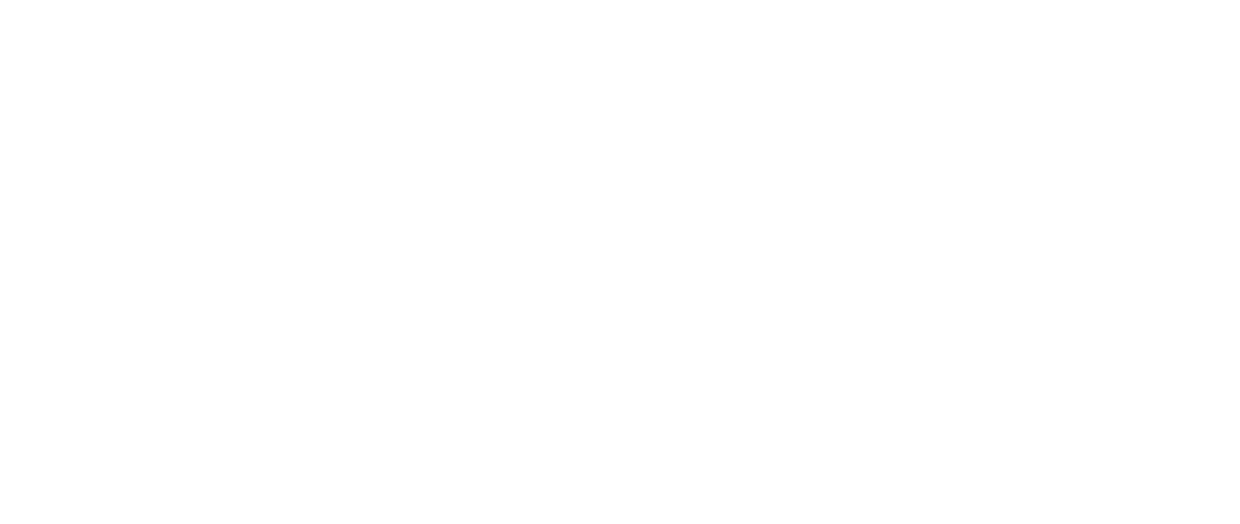 NGS — Nordic Geoservices, Exploration Professionals